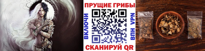 закладки  Чебаркуль  kraken ССЫЛКА  Псилоцибиновые грибы мицелий 